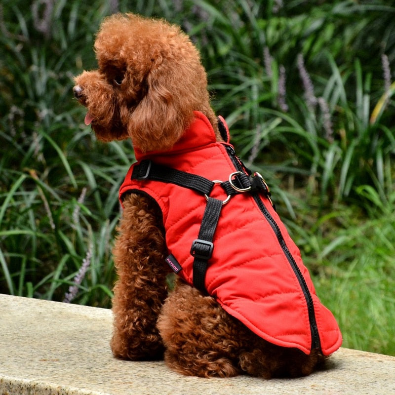 Waterproof Pet Coat With Harness - Rose’Mon Retail