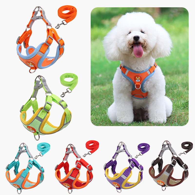 Reflective Pet Harness And Leash Set - Rose’Mon Retail