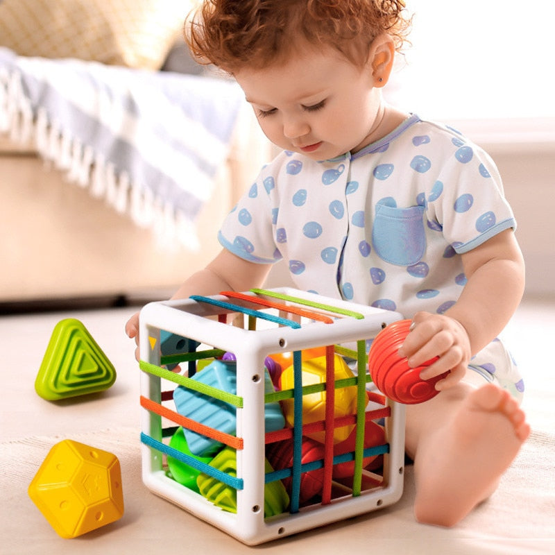 Colorful Shape Blocks Sorting Game Rosemond's Retail