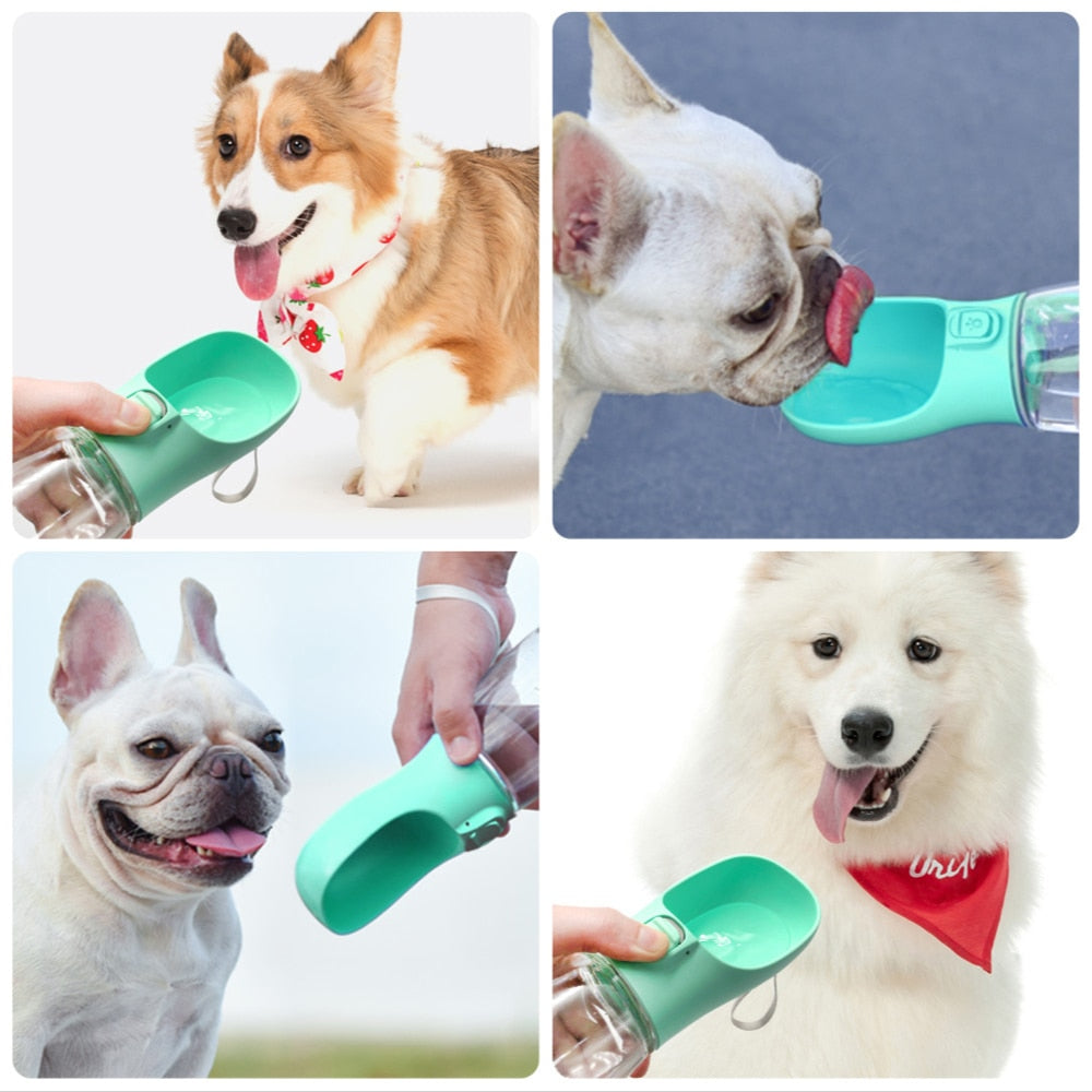 Drinking Bottle Dogs Feeder Rose’Mon Retail